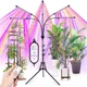 Full Spectrum DC5V USB LED Grow Light With Timer Desktop Clip Phyto Lamps For Indoor VEG Plants