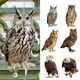 1 PCS Creative Bird Repel Owl Scarecrow Simple Owl Wind Chime Durable Fake Bird Scare Device With