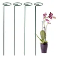 Plante grimpante en pot bâtons de support intérieur extérieur treillis tournesol tige de