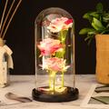 Simulation Rose Flower Gifts Night Light Glass Cover Battery Powered Eternal Flower Dry Bouquet Valentine's Day Mother's Day Creative Gift Wedding Party Decoration