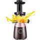 Juicer Machine,Juicer Machines Slow Masticating Juicer Extractor Cold Press Juicer Quiet Motor Higher Juice Yield Juice Extractor For Fruits And Vegetables BPA Free