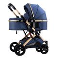 HAQMG 2 in 1 Baby Pram Stroller for Newborn, Baby Strollers for Infant and Toddler, High Landscape Shock-absorbing Carriage Two-way Pram Trolley Baby Pushchair for 0-36 Months (Color : Blue B)