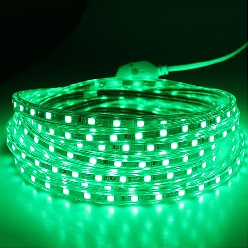 wasserdichtes LED-Lichtband, Plug-in-Lichtband für Außenpools, wasserdichtes IP67-LED-Lichtband, Diodenband, dekoratives Licht für den Urlaub, LED-Lichterkette mit EU-Stecker Image