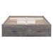 Gracie Oaks Esmont Platform Storage Bed Wood in Gray/Brown | 15.9 H x 56.3 W x 76.8 D in | Wayfair E62C516CAA6542AC8F0D6E1F9B7D6688