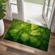 Spring Green Leaves Doormat Non-Slip Oil Proof Rug Indoor Outdoor Mat Bedroom Decor Bathroom Mat Entrance Rug Door Mat