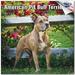 2023 2024 Pitbull Calendar - Dog Breed Monthly Wall Calendar - American Pitbulls Calendar - Made In USA - 12 x 24 Open - Academic Teacher s Planner Calendar for Organizing & Planning - Made in USA