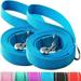 SUNNQ 2-Pack Reflective Dog Leash 6ft - Nylon Dog Leashes for Small Dogs Medium Dogs Large Dogs Puppy Cats - 6ft Training Leash with D Ring(Blue 5/8 X 6FT(2-Pack))