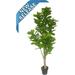 Fee 6 & Fiddle Leaf Fig Tree Artificial Silk Plant with with Nursery Plastic Pot Feel Real Technology Super Quality 6 Feet Green - AMLV8253A6