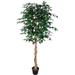 Green Gorgeous & 6 Feet Ficus Capensia with Twisted Trunks Artificial Plant with Nursery Pot UV Protection Feel Real Technology 2016 Leaves 4