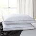 Alwyn Home Landen Down Blend Firm Pillow Polyester/Down & Feathers in White | 20 H x 36 W in | Wayfair 839A95BAEA1E4670B721B0923A91710E