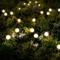 10 luci solari a led luci esterne impermeabili da giardino luci paesaggistiche lucciola luci da giardino prato per giardino patio passerella decorazione del percorso, camera da letto interna