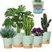 Self Watering Planters Pots Flower Plants Pots for Indoor and Outdoor 5 Pack White Planter 5/5.5/6/6.5/7 Inch Green