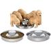 Stainless Steel Dog Bowl 2 Puppy Litter Food Feeding Weaning SilverStainless Dog Bowl Dish Set of 2 pieces 29 cm for Small/Medium/Large Dogs Pets Feeder Bowl and Water Bowl