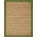 Chesapeake Seagrass Area Rug with Sage border (5 x7 )