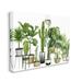 Stupell Plant Scene Cacti and Succulents in Pots Canvas Art 30 x 40