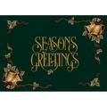 Milliken Seasonal Inspirations Area Rug Season s Greetings 00450 Wintergreen 3 10 x 5 4 Rectangle