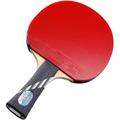 10 Star Offensive Ping Pong Racket, Professional Sports Pingpong Paddle Racket, Suitable for Indoor and Outdoor Use,Short