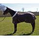 Ruggles 200g Middleweight Horse/Pony Stable Rug | Fleece Collar | Anti Rub Lining | Smart Versatile Rug for Cooler Days or for Layering (Chocolate Brown, 5' 6")