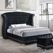 Alma Barzini Upholstered Wingback Bed Upholstered in Black | 62.5 H x 82 W x 88.25 D in | Wayfair Retsaoc 300643Q
