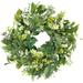 Northlight Seasonal Mixed Foliage & Daisy Spring 20" Plastic Wreath in Green/White | 20 H x 20 W x 5 D in | Wayfair NORTHLIGHT YK95685