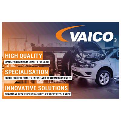 VAICO Teilesatz, Ölwechsel-Automatikgetriebe mit Dichtung für SKODA VW SEAT MINI AUDI VAG 9G321370 09G325429Ekit3 9G325429E V10-8038-BEK Image