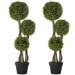 Primrue 35.5" Faux Boxwood Tree in Pot Plastic in Black | 35.5 H x 10.7 W x 10.7 D in | Wayfair 573D50A40EB3467F8E9249EC2112891F