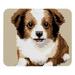 Dog Square Non-Slip Rubber Bottom Printed Desk Mat Mouse Mat Gaming Mousepad Desk Pad - 8.3x9.8 Inch Suitable for Office and Gaming