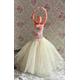 NEW. 12th Scale Miniature Ballet Dress Grace and Roses.
