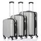 ROEYOO 3-in-1 Suitcase Set, Lightweight Suitcase with TSA Lock, Carry On Suitcase Luggage Sets with 4 Wheel Suitcase, Small/Medium/Large (Silver Gray)