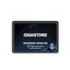 Gigastone Enterprise 1TB NAS SSD 24/7 High Endurance Business Server Homelab Network Attached Storage Cache RAID 2.5" SATA III Internal Solid State Drive 3D NAND SLC Cache Memory Expansion