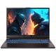 CAPTIVA Gaming-Notebook "Highend Gaming I74-244" Notebooks Gr. 64 GB RAM 2000 GB SSD, schwarz Gaming Notebooks