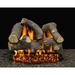 American Gas Log Somerset Blaze Natural Vent Gas/Propane Fireplace Logs in White | 16 H x 28 W x 14 D in | Wayfair SB-18-RCV202-S-DBL