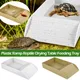 Reptile Platform Habitat Tortoise Crawling Pet Water Food Dish Reptile Bowls with Anti-Slip Ramp