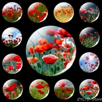 Mohn Blume Kühlschrank Magnet 12PCS Set Kunst Kühlschrank Magneten 30MM Glas Cabochon Kühlschrank