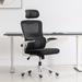 Inbox Zero Office Chair Height-Adjustable Ergonomic Desk Chair w/ Lumbar Support | Wayfair A0455CAE47A744198FBAD5D4E39913E0