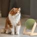 Cat Mint Ball Toy Catnip Floor Ball Toy Interactive Catnip Toy Rotatable Catnip Roller Ball Floor Mount Catnip Floor Toys with Enjoyable and Safe Floor Catnip Roller for Cat Playing