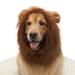 Deagia Storage Box Clearance Mane for Dog with A Animals Tail Wig for Dog with Ears Pet Animals Mane Costume Button Adjustable Sale Gifts