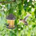 VIVAWM Bird Feeder For GardenHanging Bird Feeder Anti-Squirrelss Bird Feeder Red Bird Feeders For OutdoorsHanging Bird Feeders For BalconyBird Feeders For Outdoors Balcony