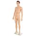 Realistic Male Mannequin with Formed Hair Standing Form Tempered Glass Base (SPML01)