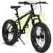 Newest 20 Inch Fat Tire Mountain Bike Kids Bike Variable Speed Drive Hardtail Dual Disc Brake for Kids