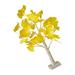 Guichaokj Ginkgo Tree Lights Dining Room Table Decor House Decorations for Home Lamps Small Night LED Plastic