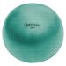 Champion Sports 75 cm Fitpro BRT Training & Exercise Ball