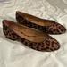 Jessica Simpson Shoes | Jessica Simpson Garcelle Flats Size 9 Leopard Print | Color: Brown | Size: 9