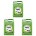 DanKlorix Hygiene-Reiniger Grüne Frische mit Chlor 5L - Reiniger für Haus & Garten, hochwirksam gegen Bakterien, Viren, Keime & Schimmelpilze (Packung mit 3)