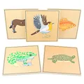 Jouets Montessori en Bois pour Enfant Garçon Modules de Biologie Puzzle Seton Grenouille Cheval