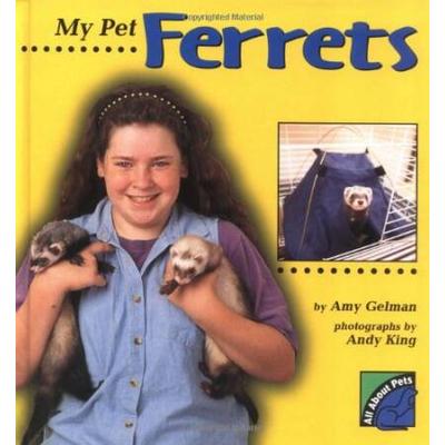 My Pet Ferrets (All about Pets)