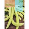 Rocalba - Seed Cucumber 500G