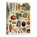 Shiartex Vintage Vegetables Illustration: Farmhouse Kitchen Wall Art Decoration & Decor -Art Print Signs Aesthetic Pictures & Unique Art Wall Poster Decorations for the Kitchen 16x20 Inch