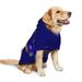 National Hispanic Heritage Month Dog Clothes Hoodie Pet Pullover Sweatshirts Pet Apparel Costume For Medium And Large Dogs Cats Large