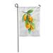 LADDKE Green Tangerine Watercolor Fruit Mandarin Branch Orange Citrus Garden Flag Decorative Flag House Banner 28x40 inch
